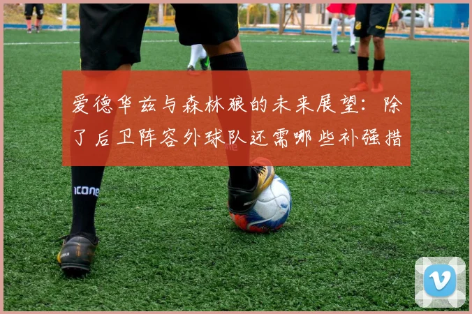 爱德华兹与森林狼的未来展望：除了后卫阵容外球队还需哪些补强措施