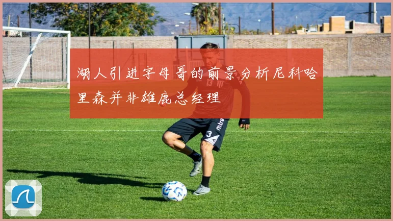 湖人引进字母哥的前景分析尼科哈里森并非雄鹿总经理