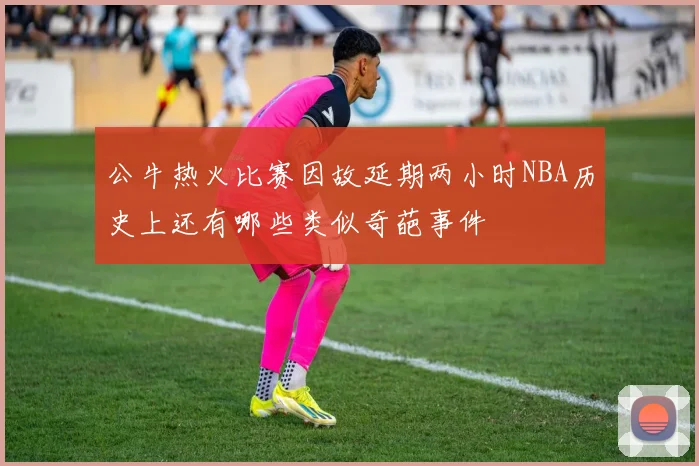 公牛热火比赛因故延期两小时NBA历史上还有哪些类似奇葩事件